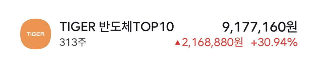 타이거 반도체 탑10-q&a