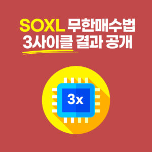 라오어 무한매수법